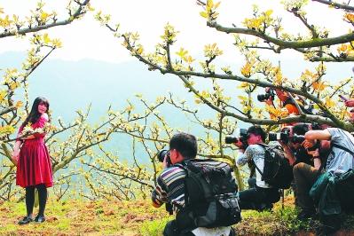 政府引导打造农旅新路径 农旅融合带动乡村振兴