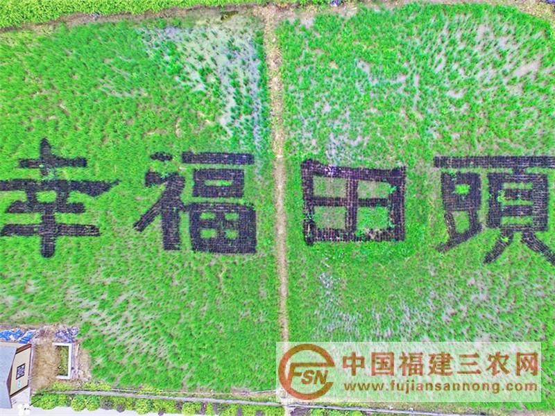 20、龙海浮宫：幸福田头_副本.jpg