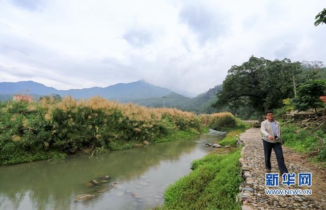 福建漳州：打造乡村生态水系景观带 