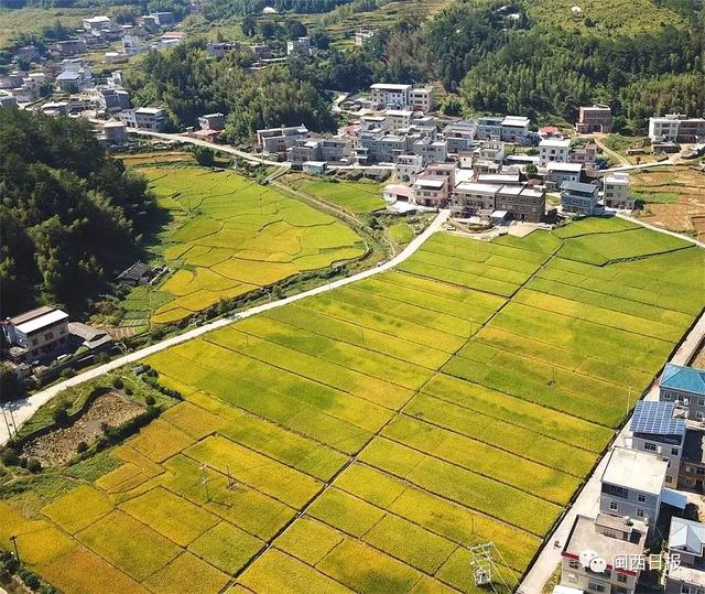 龙岩4县新增千亿斤粮食产能田间建设项目，获中央补助！