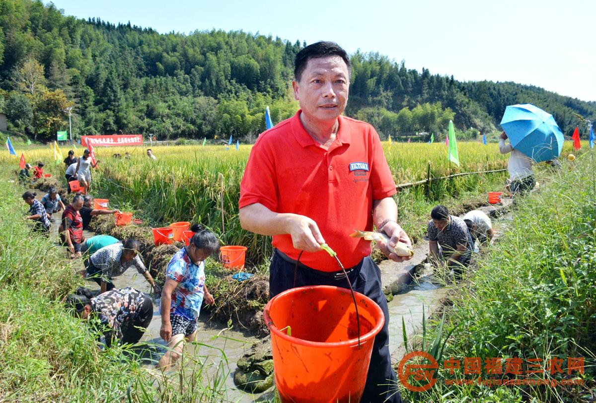 6、光泽县仁厚村民在科技示范基地捕获稻花鱼（李福根 摄） 2018-9-21.jpg