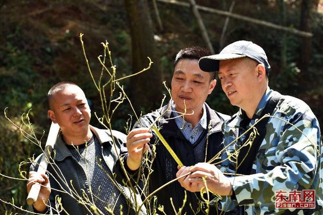 “科技保姆”活跃在林间地头