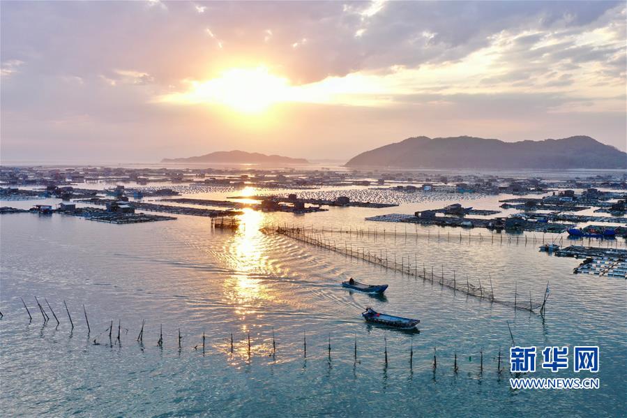 （美丽中国）（6）福建东山：光影海上牧场