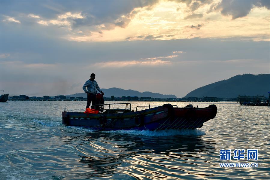 （美丽中国）（2）福建东山：光影海上牧场