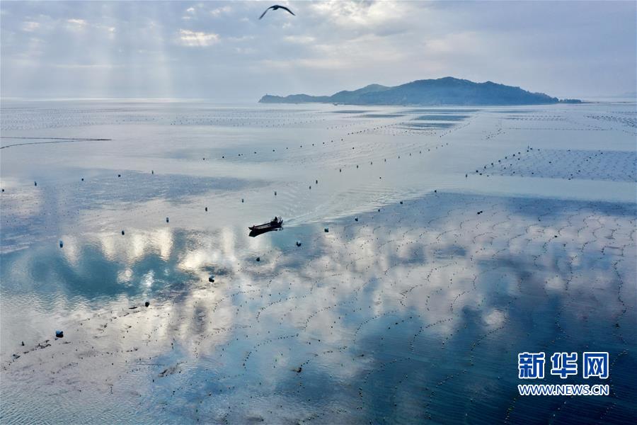 （美丽中国）（4）福建东山：光影海上牧场