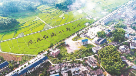 图说宁化：稻田.png