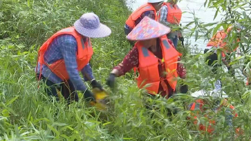 8、泰宁：生态管护队清理河道垃圾.jpg