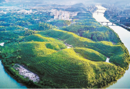 沙县：森林覆盖率达78%的沙县区远景.png