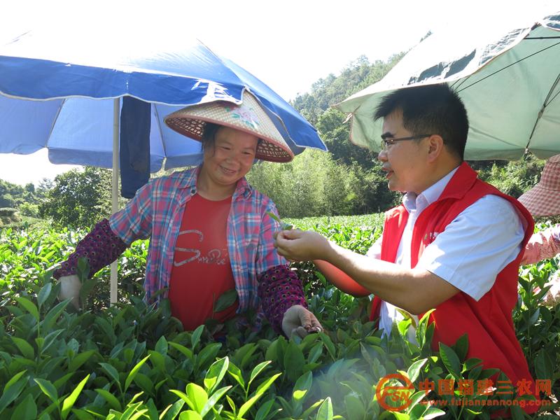 漳平农商银行金融助理深入南洋茶园调查农户金融需求.JPG