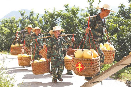 图说：平和县.jpg