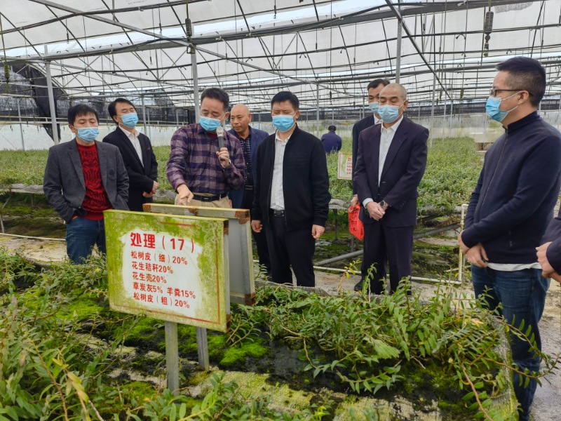 省农科院科技成果落地连城  持续提升硒产业新动能