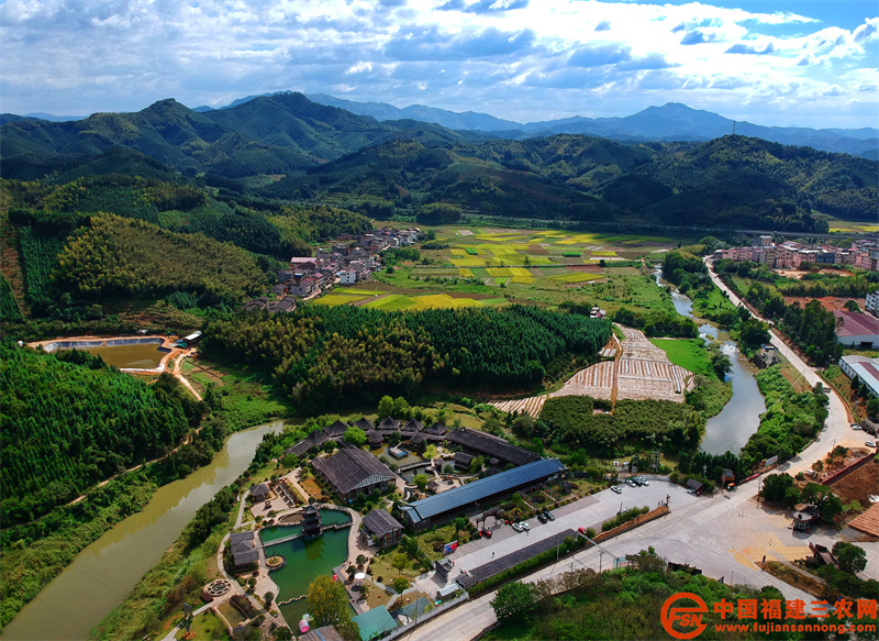 建瓯吉阳四宝小镇，远处的稻田别具一格。（黄杰敏 摄）.jpg