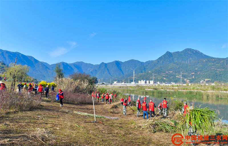  11月14日，罗源县组织开展2021年“全民护河 爱我罗川”系列活动之松山镇小获溪护河活动。（ 刘其燚 摄） (5).jpg