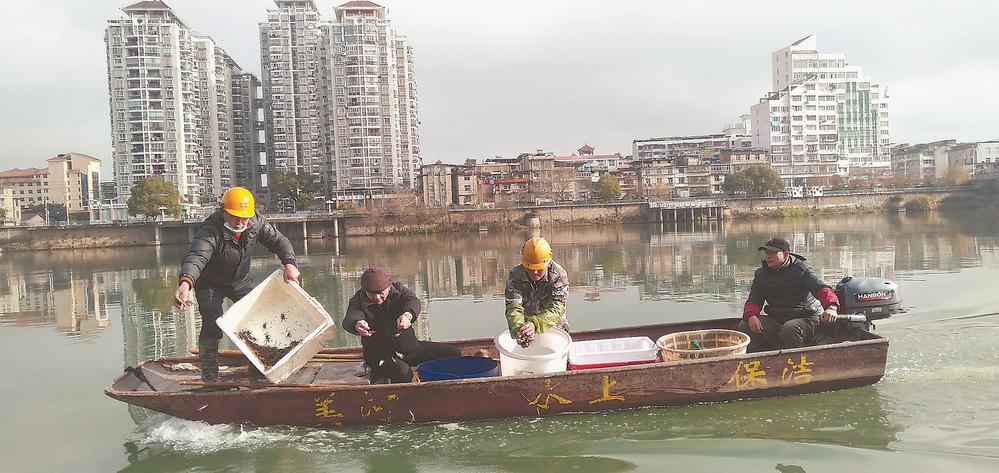 邵武市首次在富屯溪城区河段投放蟹苗