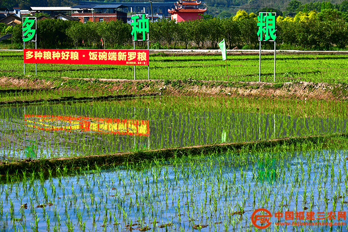 龙岩市新罗区田野地头随处可见的耕地保护宣传标语.JPG