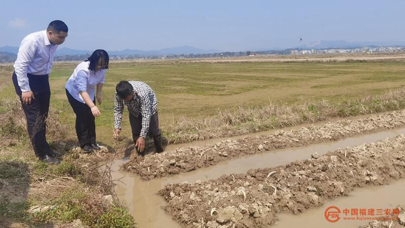 金融助理深入田间地头问需槟榔芋种植户.jpg