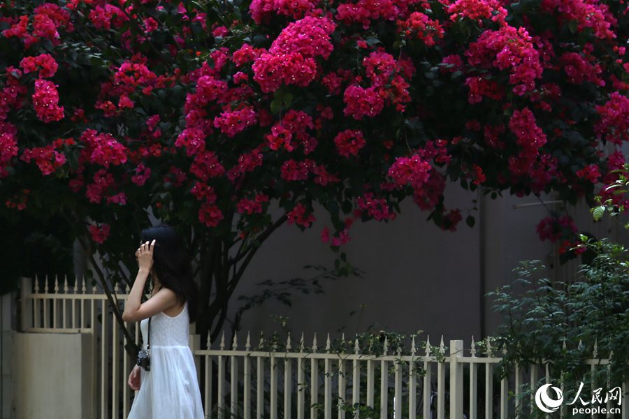 厦门：春意阑珊处  立夏款款来