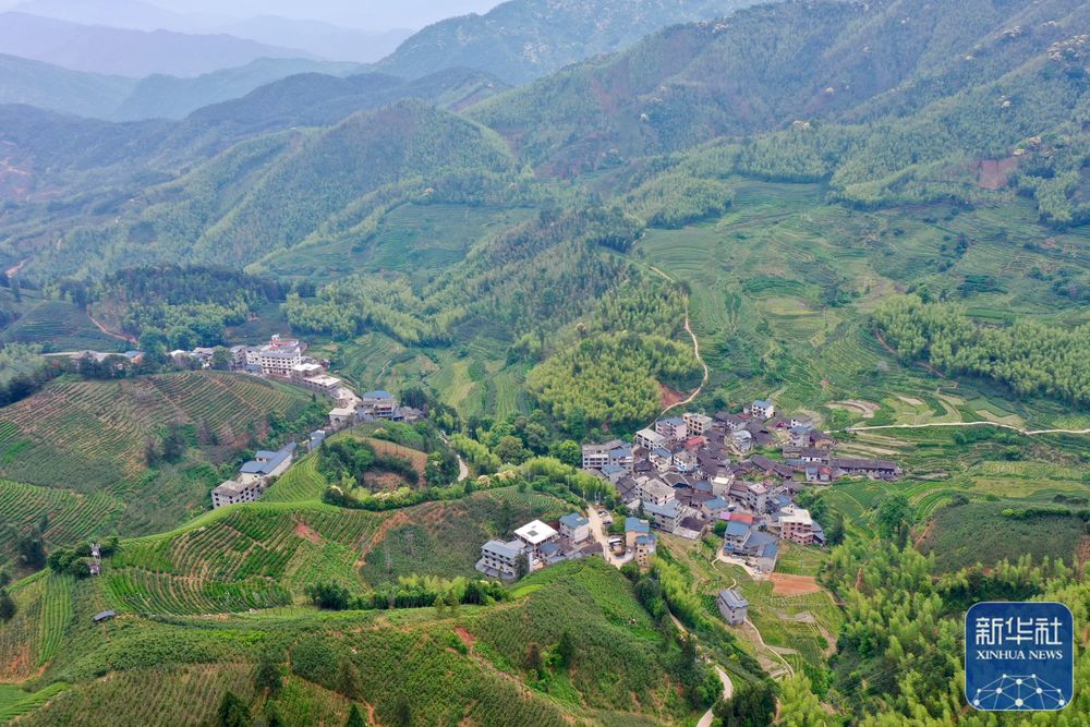 福建武夷山：高山茶农生态致富