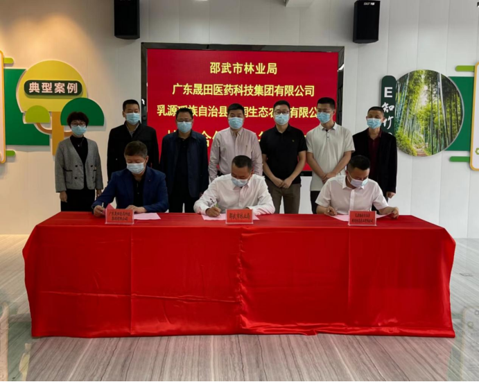 稿6 福建邵武：盘活林下资源 发展中草药产业115.png