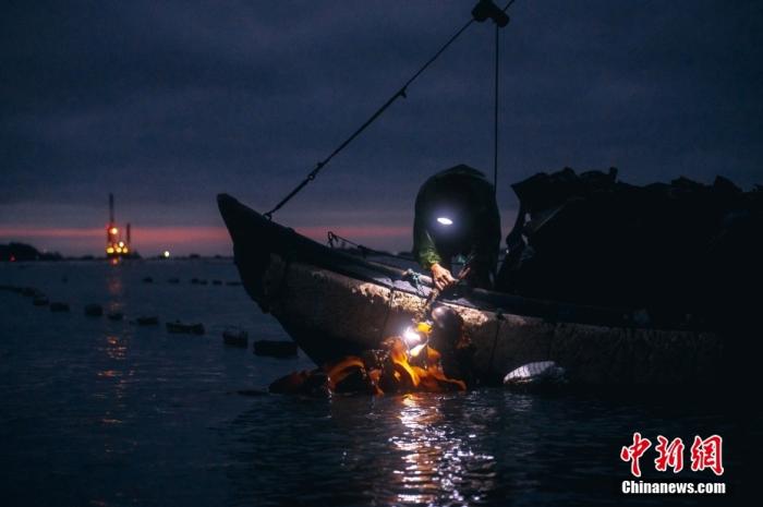 “海带之乡”生财有道