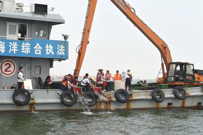 25万尾鱼苗入海  厦门增殖放流助力海洋生态修复