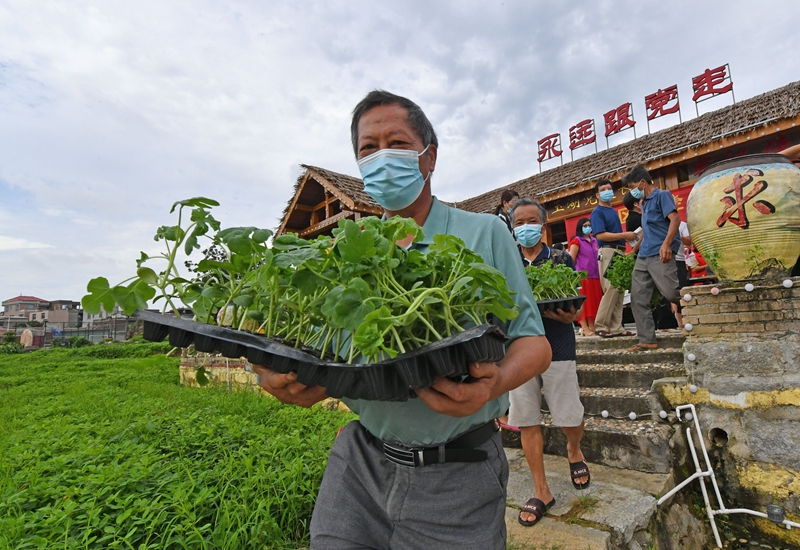 1 发放西瓜苗活动现场。.jpg