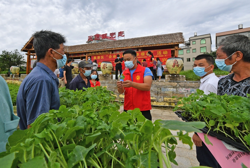 2 爱心企业志愿者们为群众讲解西瓜的栽培技术。.jpg