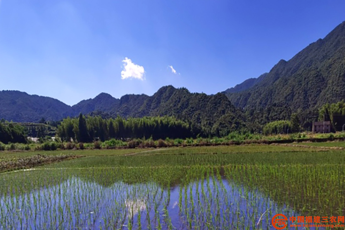 2在乍洋乡石山村的萍丰家庭农场调研.jpg