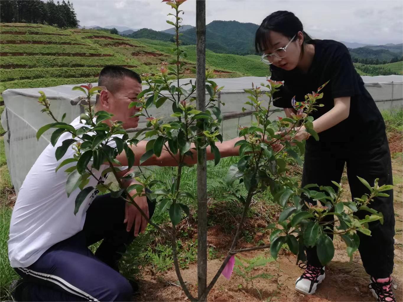 邵武卫闽林场：抓住机遇 冲出困境 改建优品阔叶树种子园