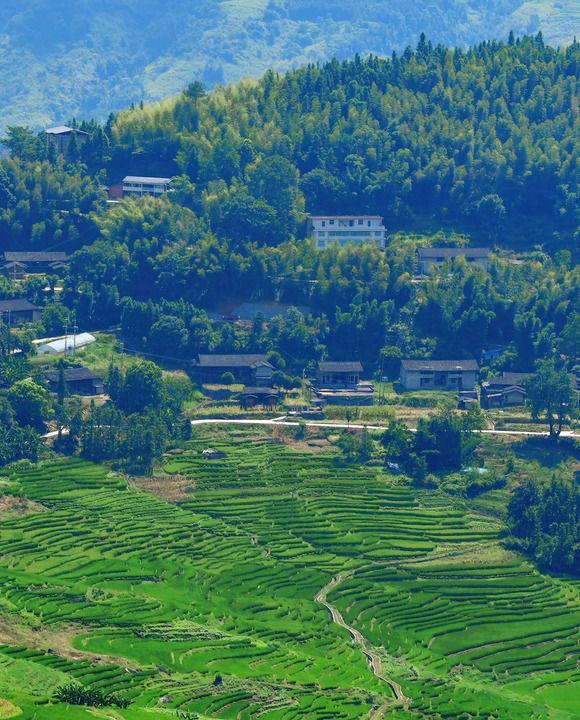 三明尤溪：多彩联合梯田 自然乡村画卷