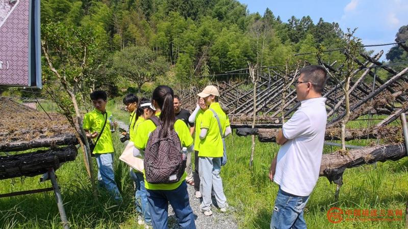 3 实践队队员们参观铁皮石斛种植场地 肖明涛 摄.jpg