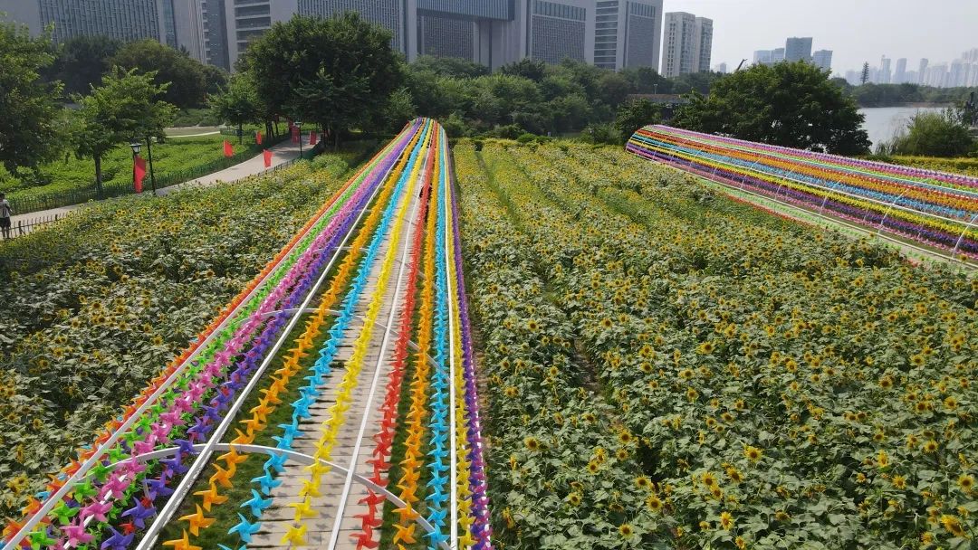 福州秋景上新啦！