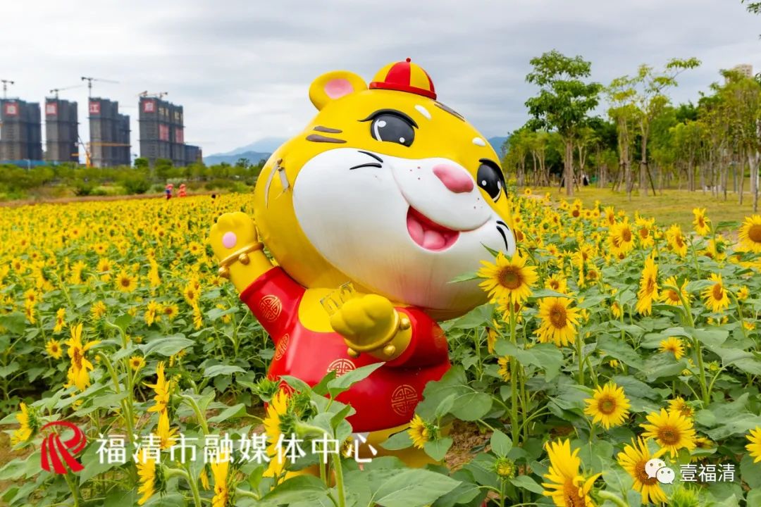 16000㎡超大花海！福清这个地方颜值爆表！
