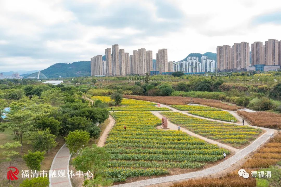 16000㎡超大花海！福清这个地方颜值爆表！