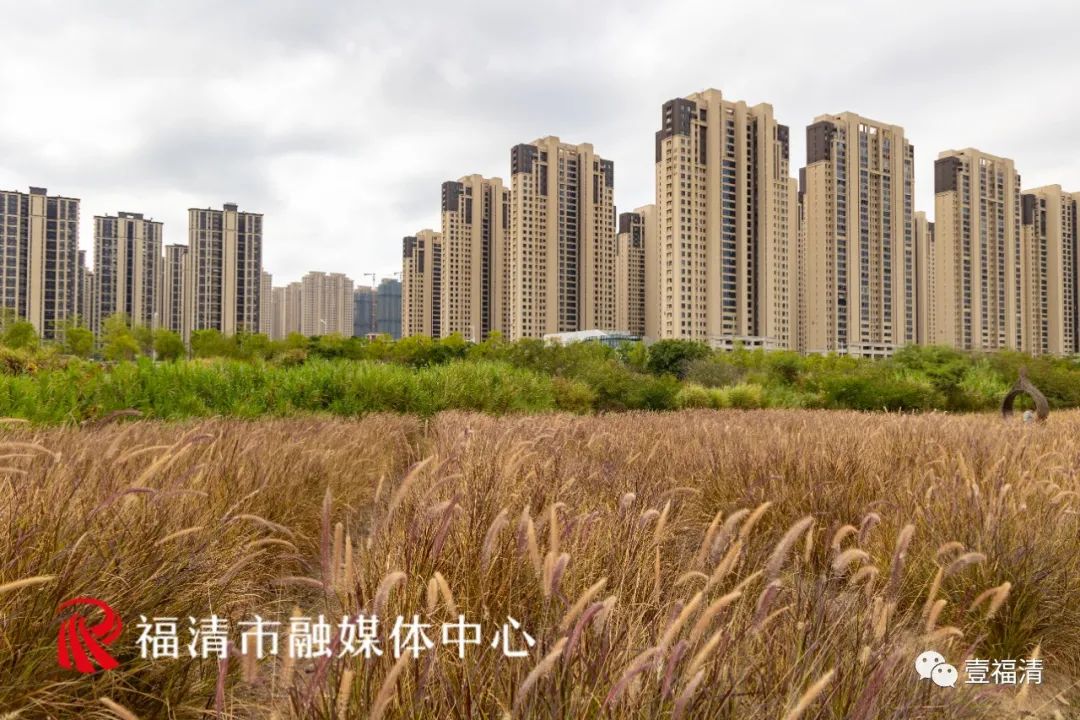 16000㎡超大花海！福清这个地方颜值爆表！