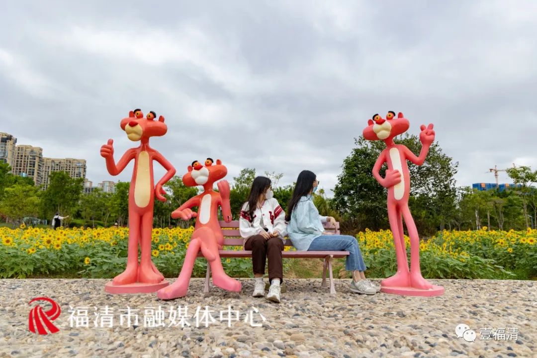 16000㎡超大花海！福清这个地方颜值爆表！