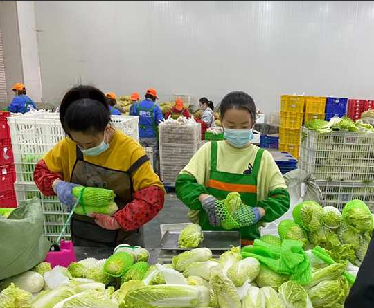微信图片_20221101144026.png