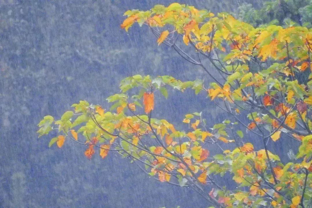 闽清东洋村：烟雨中的山水画卷