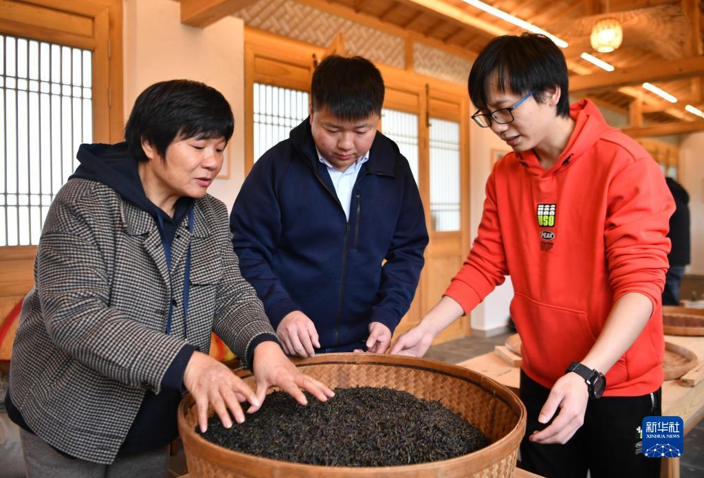 走进武夷山，来看武夷岩茶“岩骨花香”的奥秘