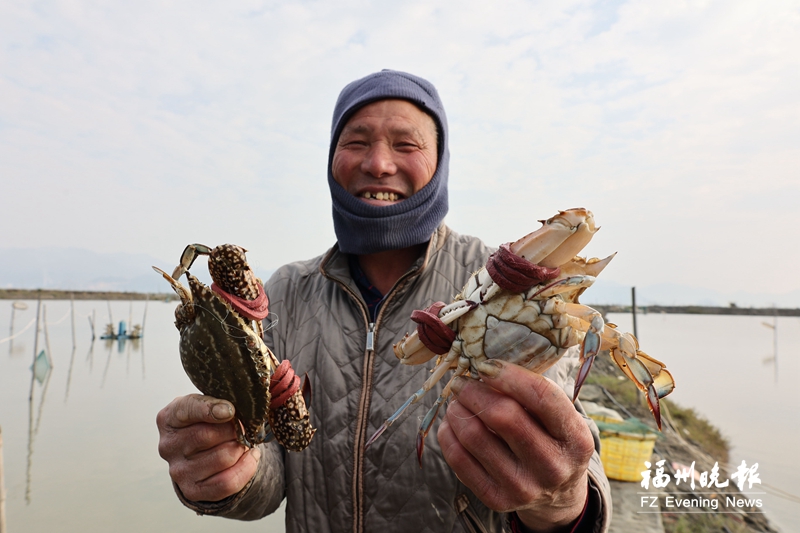 连江：修复湿地 收复鱼贝虾蟹失地