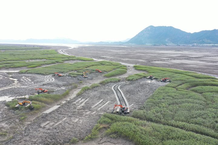 新华社关注福建：推进互花米草综合治理及生态修复