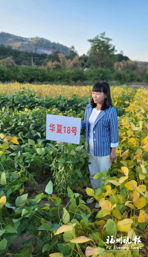 “种豆女秀才”连端妹科技兴农 叩开美国等海外市场