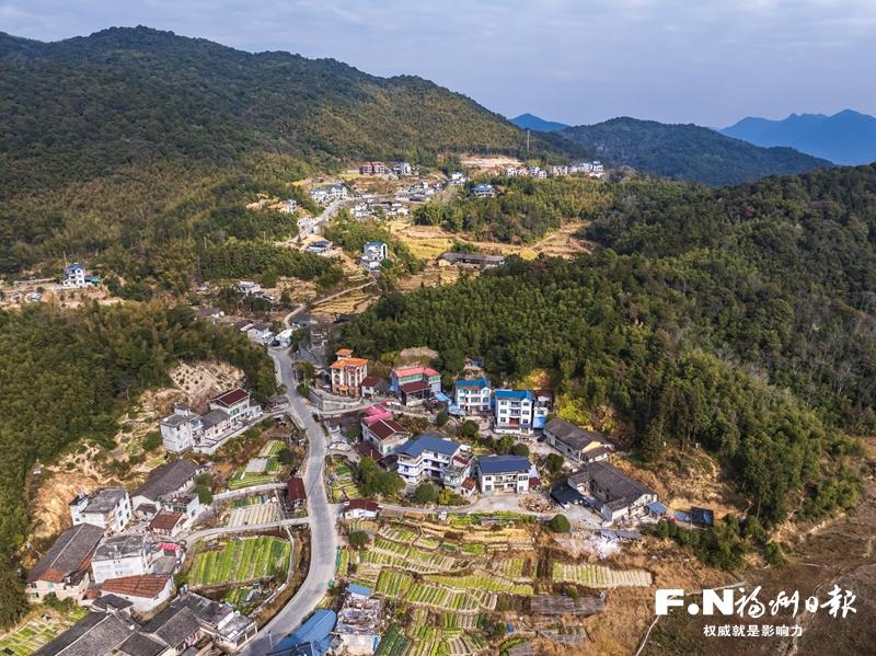 晋安：转出生机 小村撂荒地披绿生金