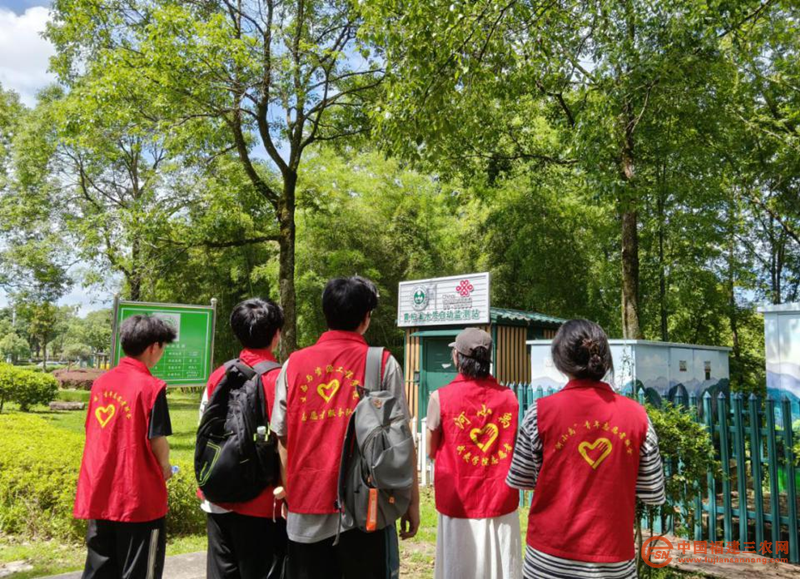 图片29.png