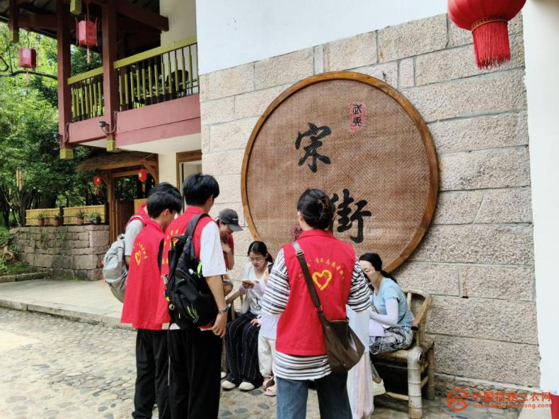 图片31.png