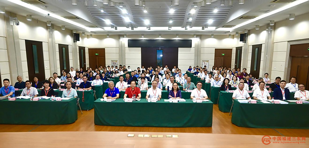 图片11.png