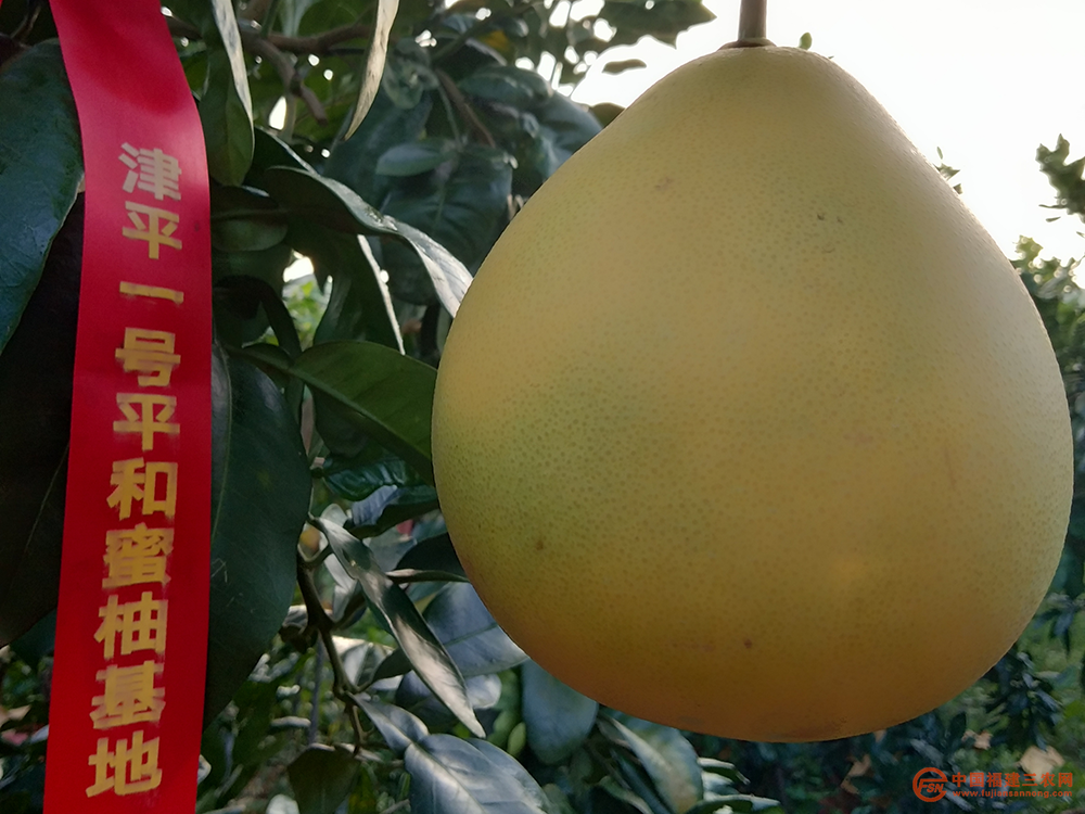 图片17.png